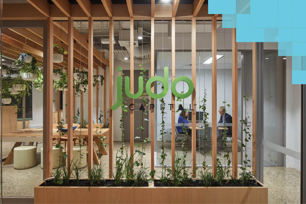 DaaS Judo Press Release