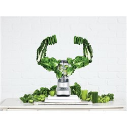 Breville the Fresh & Furious Blender