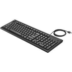 HP Wired Keyboard 100