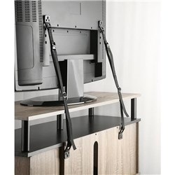 XCD TV Safety Straps 100kg Max