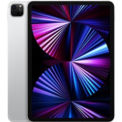 Apple iPad Pro 11-inch 1TB Wi-Fi   Cellular (Silver) [2021]