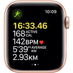 Apple Watch SE 44mm Gold Aluminium Case GPS