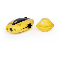 Gladius Chasing Dory Underwater Drone