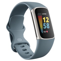 Fitbit Charge 5 (Steel Blue/Platinum)