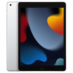 Apple iPad 256GB Wi-Fi (Silver) [9th Gen]