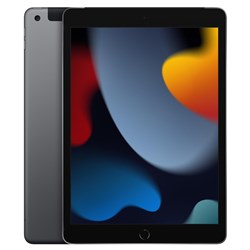 Apple iPad 256GB Wi-Fi   Cellular (Space Grey) [9th Gen]