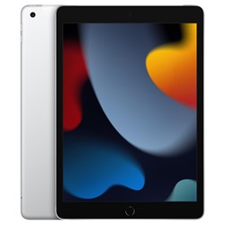 Apple iPad 256GB Wi-Fi   Cellular (Silver) [9th Gen]