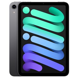 Apple iPad mini Wi-Fi 256GB (Space Grey) [6th Gen]