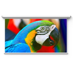 Nebula 100' Motorized Electric Anti-Light Projector Screen
