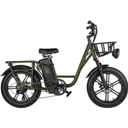 Fiido T1-Cargo Electric Bike