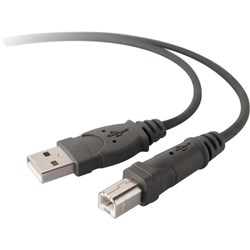 Belkin Hi Speed USB Cable (1.8 Metres)